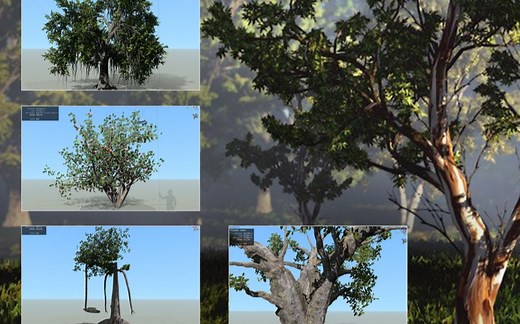 SpeedTree8—植被制作实例高级教程—案例浏览