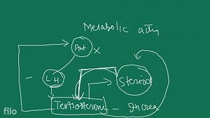 In feedback inhibition, a metabolic pathway is switched off by ... | Filo