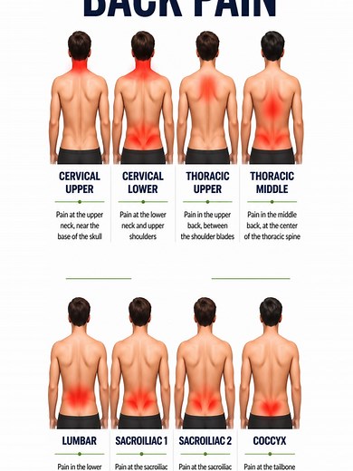 The Different Types of Back Pain Explained 🧠💥