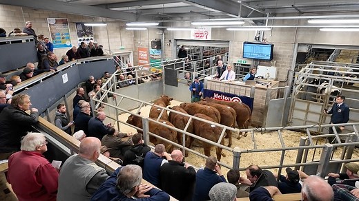 Melton Mowbray Market on Reels