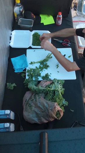 Cool Guys BBQ KCBS turn in box using Kale | Cool Guys BBQ