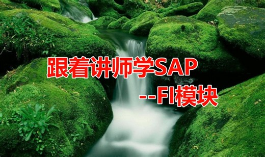 跟着讲师学SAP--FI模块 06