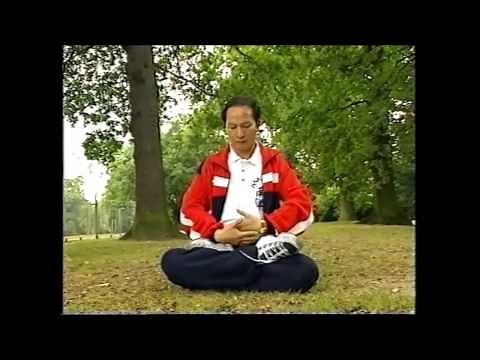 Chinese Chi Kung (Qi Gong) Master Demonstrating.