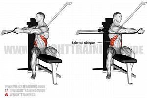 Seated cable twist exercise instructions and video | Weight Training Guide
