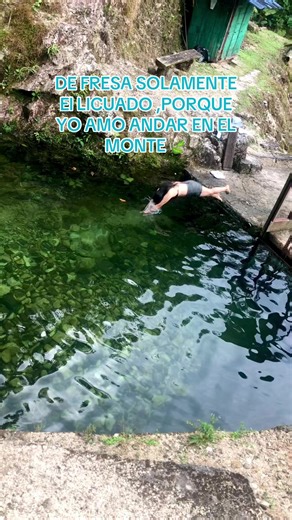 🍃#monte#Naturaleza#paratiiiiiiiiiiiiiiiiiiiiiiiiiiiiiii #Anazonia