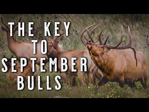 How to Find Rutting Bulls | Stop Chasing Bugles & Start Killing Elk