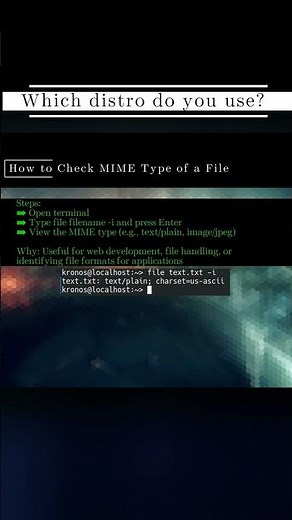 🐧 LinuxCLI 🐧 How to Check MIME Type of a File 🐧 #shorts #KGROSShorts