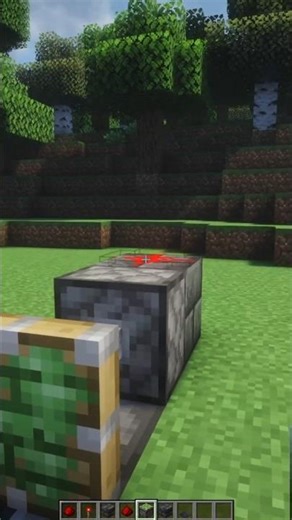 This Door Opens Automatically in Minecraft 🚪🤯#minecraft #gaming