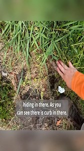 Awesome Lawn Cutting | Fantastic Videos