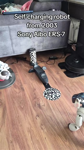 Exploring the Sony Aibo ERS-7: A Self-Charging Robot Dog