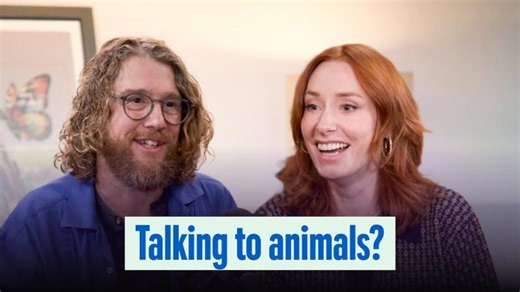 DeepMind's AI for Ecological Damage Assessment | Sundar Ram posted on the topic | LinkedIn