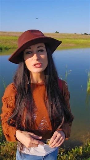 🌾If I was ever stuck in a survival situation, the main plant I would be looking for is cattails, the plant of a million uses! The first beneficial thing cattails provide is a food source, and a valuable one at that. They are extremely high in carbohydrates and often used in survival situations. The entire cattail plant is edible at different stages, but it is mainly the root, inner heart and pollen that are gathered by foragers. The second beneficial thing is that they are a powerful medicine, 