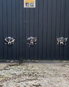 1.7M views · 81K reactions | This home has custom peep-holes on its front gate for their huskies to look through  | Furry Tails | Facebook