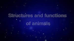 Structures and functions of animals - High-quality HD animated video - eLearning