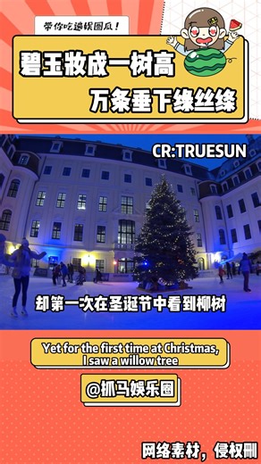 抓马娱乐圈drama on Instagram: "碧玉妆成一树高，万条垂下绿丝绦 #fblifestyle #圣诞 #平安夜 #christmaseve #night #fyp #唯美 #tree #分享 #christmas2025 #Christmas"