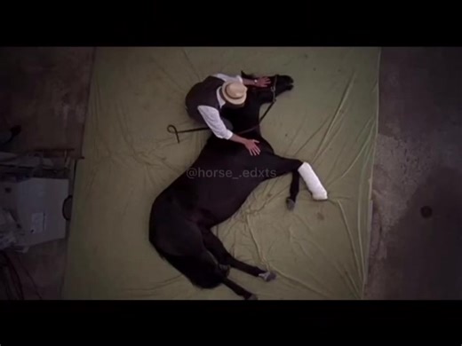 Legends. Never. Die. #horse #racing #ruffian #pharlap #hickstead #rip #fyp #horseedit #totilas #dressage #legend #legendsneverdie #horseracing #jockey #showjumping