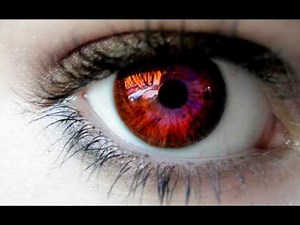 Headlock - Imogen Heap