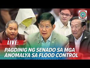 LIVE: Senate Blue Ribbon Committee hearing on anomalous flood control projects | January 19