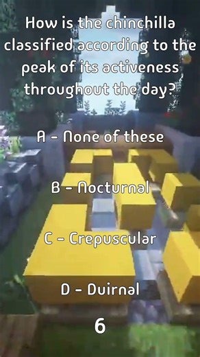 How is the chinchilla classified according to the peak of its activeness throughout the...