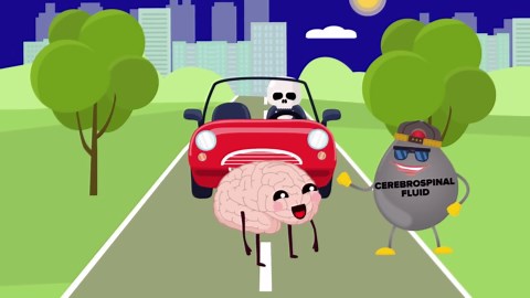 What happens when you are knocked out?