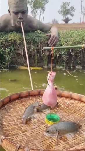 Best Fishing Skilled Showing For Hunting Fish