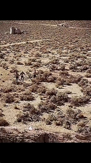 Discover the Most Gatekept Movie of 2026