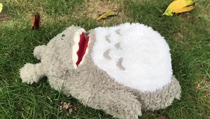 Totoro snoring plush... so cute! | Studio Ghibli, Japan and Anime Fans