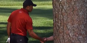 Tiger Woods shaking hands with a tree has become an instant meme