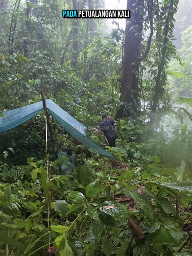 petualangan mencari ikan bermalam di pinggir sungai di hutan#petualang #jemodusuntv #outdoors #nature #survival #wilderness #traditional