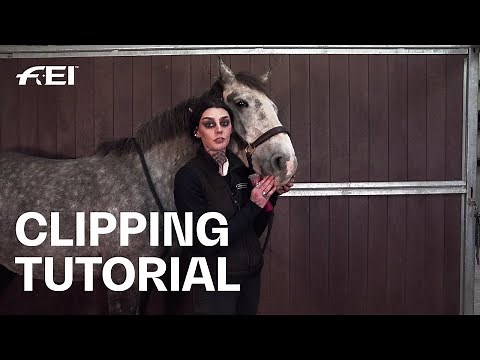 How to clip your horse's face according to the new FEI Rules | w/ ‪@NikiBaxterIHorseGroom‬