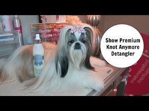 Show Premium Knot Anymore Detangler for dogs