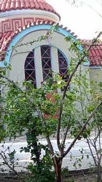 Κυριακή.ευαγγελιο