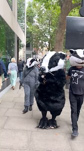 Badger protectors lapped the DEFRA building today asking that the senseless badger cull come to an end. SHARE if you're on our side! | Protect the Wild