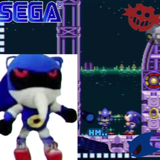 An Unexpected Rant from Sonic's World
