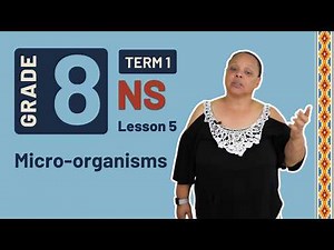 Gr8 NS: Life Science | Term 1 | Lesson 5 | Micro-organisms