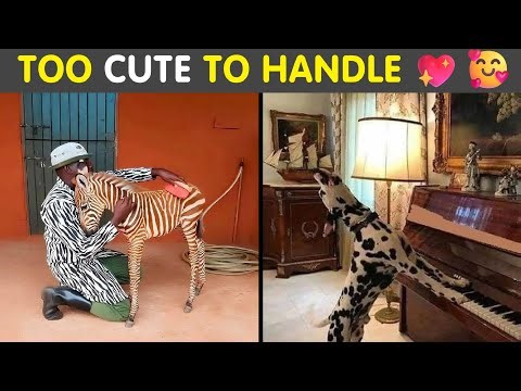 Cute & Sweet Animal Memes That’ll Make You Smile Instantly 🥰