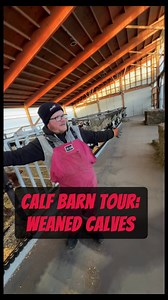 1.1K views · 2.2K reactions | Welcome to the weaned end of our calf barn! In this extended virtual tour, we’re answering all your burning questions. Come along for an inside look at this important stage of their journey on our farm. | Megan DairyGirl | Facebook