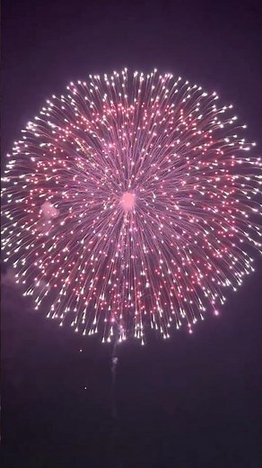 12" inch #yungfengdisplayshells #fireworks #永丰12寸洋红银八重芯升小花
