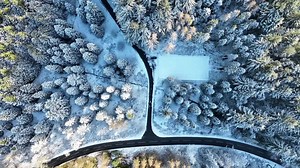 Drone footage shows first snow of 2026 hitting Northern Irish forest