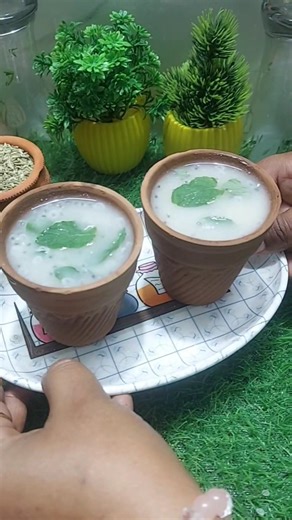 Dr Robin Sharma's SECRET Hydration Summer Drink for Good Digestion #shorts #summerdrink #ayurveda