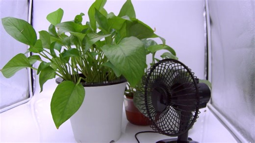 Watch ELP 260fps USB Camera for Computer mini Lighturn Camera on Amazon Live