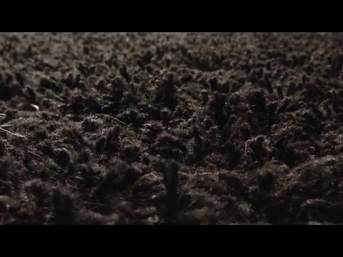 Comment faire un bébé ?