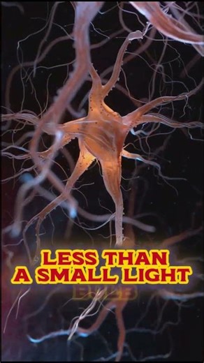 Human-Mind VS AI || HF Smart