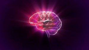 14K views · 111 reactions | Italian neurosurgeon, Dr Sergio Canavero, believes he can successfully perform the world’s first human head transplant in 2017. | Medical PK | Facebook