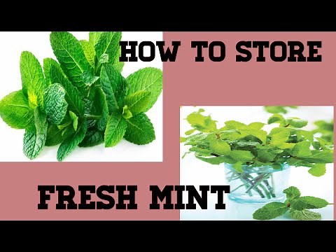 How to Store Fresh Mint (And Make Your Fresh Mint Last Longer)