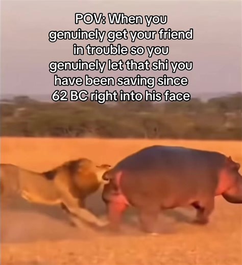 The Hilarious Consequences of Friendship Troubles