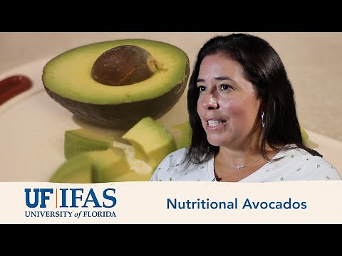 Avocado Nutritional Facts