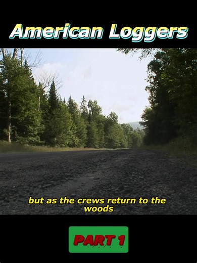 #mainelogging #HeavyMachinery #LoggingLife#NatureVsMachine #SurvivalSkills