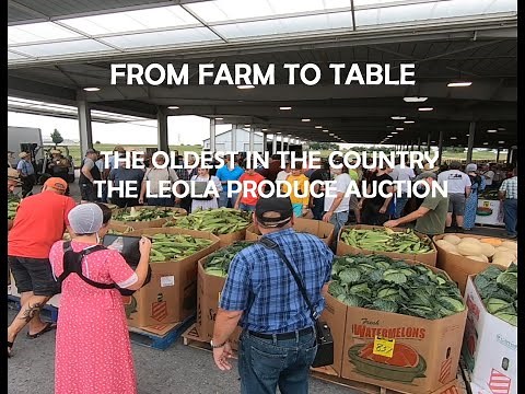 The Country's OLDEST...The LEOLA PRODUCE AUCTION in Lancaster County Pennsylvania