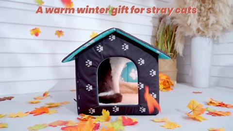 DELL DELLD6000 Universal Docking Station - Black (Renewed)